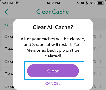 Clear All Cache Pop-up in Snapchat on iPhone