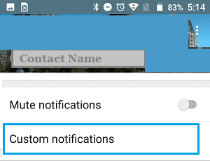 Custom Notifications Option in WhatsApp on Android Phone