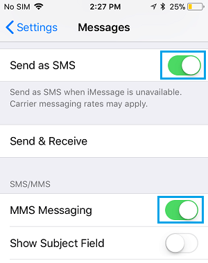 Enable SMS and MMS Messaging on iPhone