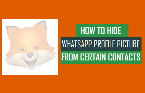 Hide WhatsApp Profile Picture From Certain Contacts