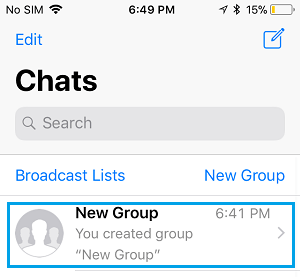 Open Group Chat in WhatsApp on iPhone