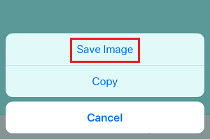 Save Image to iPhone Photos App
