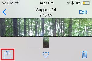 Share Icon on iPhone Photos App