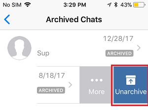 Unarchive Chat option on iPhone