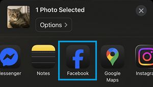 Select Facebook For Sharing Photos on iPhone