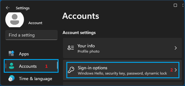 Sign-in Options in Windows
