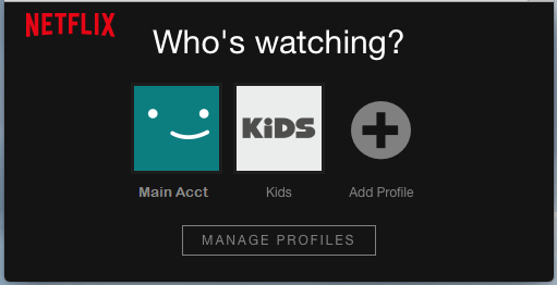 Add Profile Option in Netflix