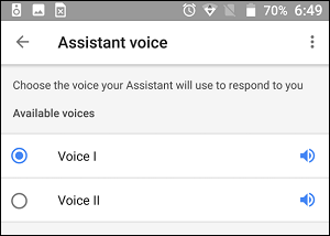 Change Google Home Voice to Male or Female