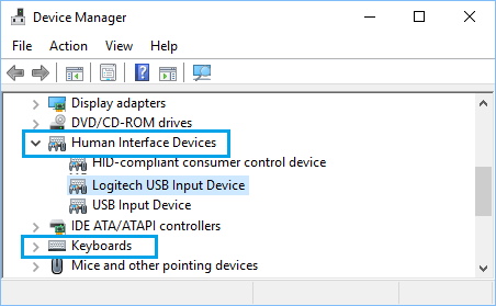 Logitech Wireless USB Keyboard Receiver on Device Manager Screen 