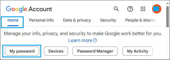 My Password Tab in Gmail Account