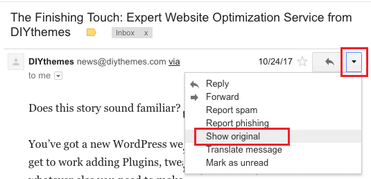 Show Original Option in Gmail