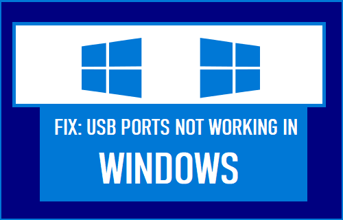 windows 11 some usb ports not working