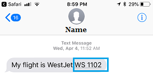 How to Track Flights On iPhone using Messages App - 19