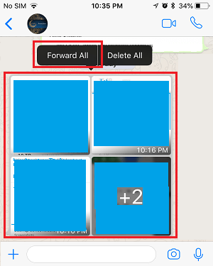 Forward All Option in WhatsApp on iPhone