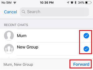 Forward Photos to Selected Contacts in WhatsApp iPhone