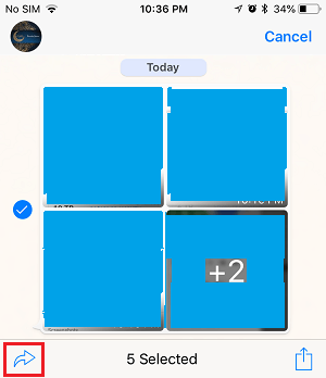 Forward Option in WhatsApp on iPhone