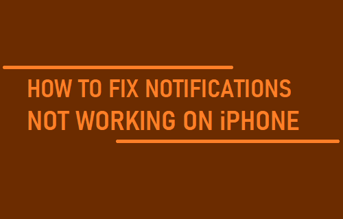 Notifications Not Working On iPhone