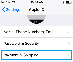 Payment and Shipping Settings Option on iPhone