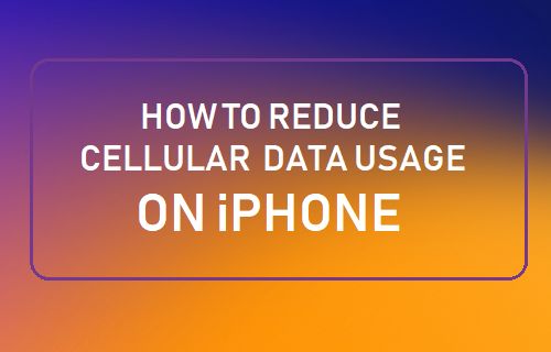 How to Reduce Cellular Data Usage on iPhone