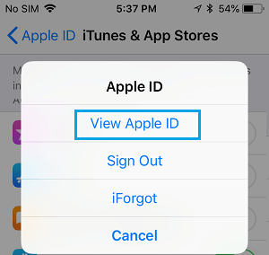 View Apple ID Option on iPhone