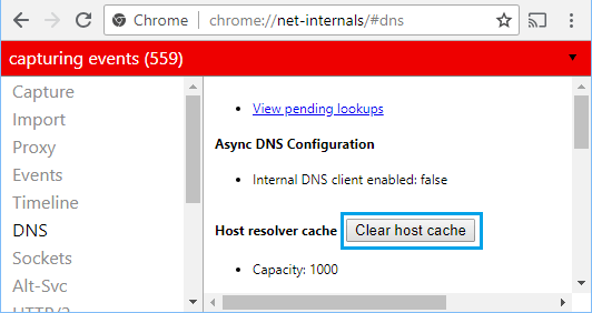 Clear Host Cache in Chrome