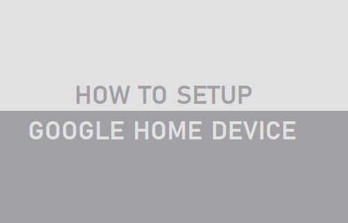 Setup Google Home Device