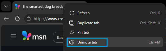 Unmute Tab Option in Microsoft Edge