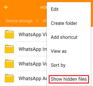 Show Hidden Files Option in File Manager
