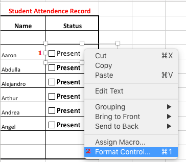 Format Check Boxes in Excel