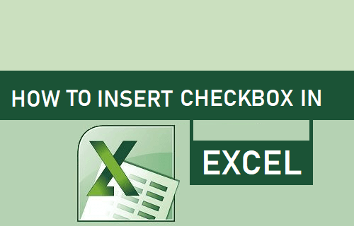 Insert Checkbox in Excel