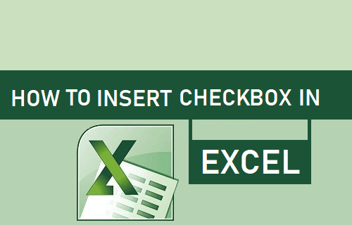How to Insert Checkbox in Excel - 25
