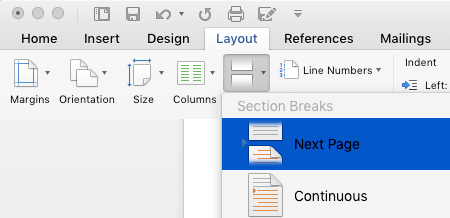 Insert Next Page Break in Word Document