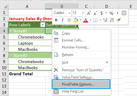 Open Pivot Table Options