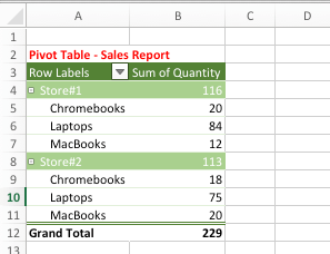 Pivot Table Showing Grand and Subtotals