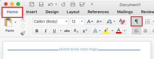 View/Hide Page Breaks Option in Word