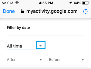 Filter Google History by Date on iPhone