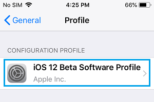 iOS Beta Profile Tab on iPhone