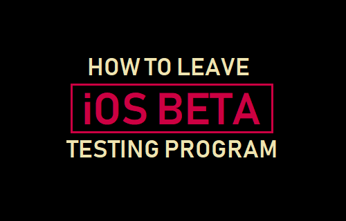 Leave iOS Beta Testing Program