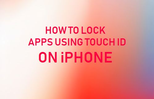 Lock Apps on iPhone Using Touch ID
