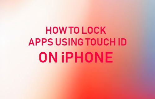 How to Lock Apps On iPhone Using Touch ID - 20