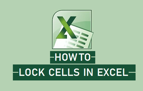 How to Lock Cells In Excel to Protect Them - 61