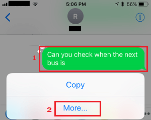 More Option in iMessage on iPhone
