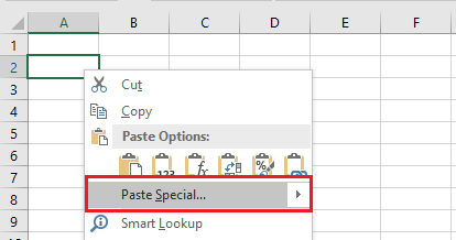 Paste Special Option in Excel