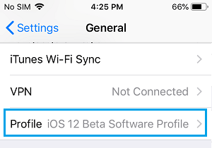 Profile Option on iPhone General Settings Screen
