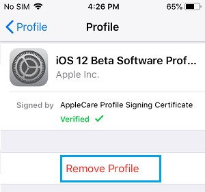 Remove iOS Beta Profile on iPhone