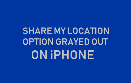 Share My Location Option Grayed Out on iPhone