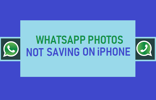 WhatsApp Photos Not Saving on iPhone