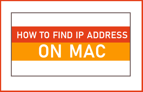 How to Find IP Address On Mac