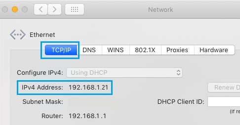 IP Address on TCP/IP Screen on Mac