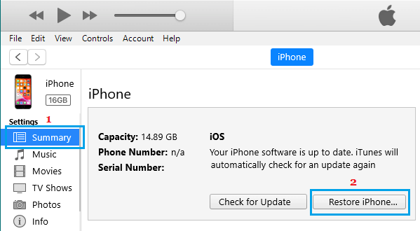 Restore iPhone Using iTunes